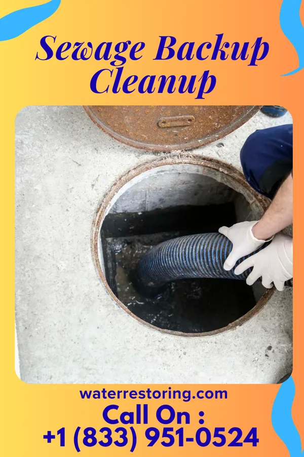 Sewage Backup Cleanup in Galesburg, IL